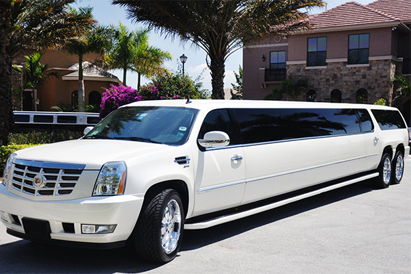 Atlanta 20 Passenger Limo